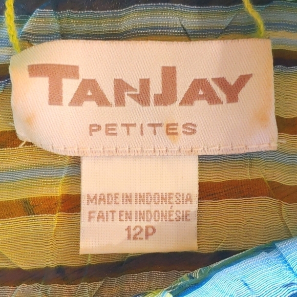 Tanjay 2 Piece Blue Green Stripe 3/4 Sleeve Semi Sheer Blouse Set Size 12P - Picture 5 of 6